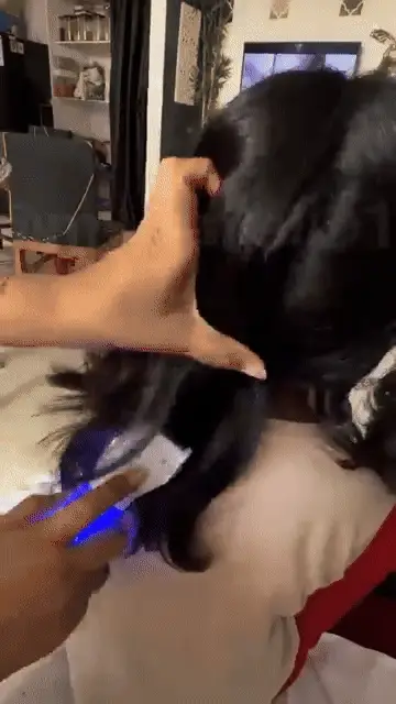 Electric Head Lice Comb